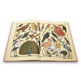 Beestenboek - Joëlle Jolivet