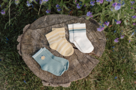 Little Dutch sokken bugs 3-pack  | maat 17-26