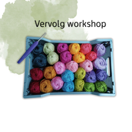 Vervolg workshop