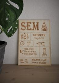 Geboorte Bord Jongen/Meisje