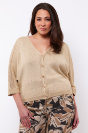 Vestje Anara