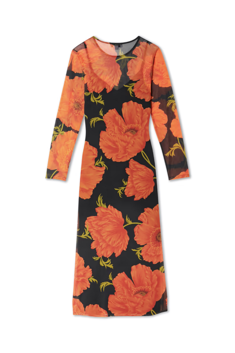Black Poppy Aria Mesh dress NFD