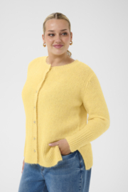 Vest Ciony