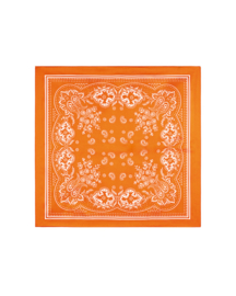 Sjaaltje Orange Paisley