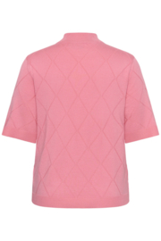 KAF Truitje Lizzy Argyle