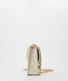 Tas Paisley