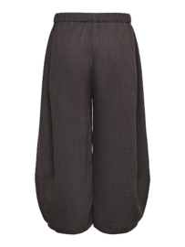 Broek Ivy