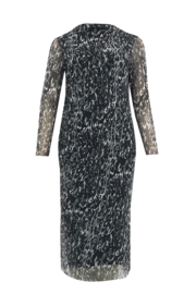 Jurk Graphic Mesh