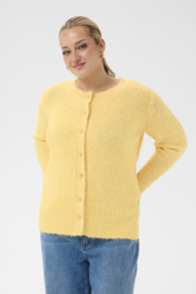 Vest Ciony