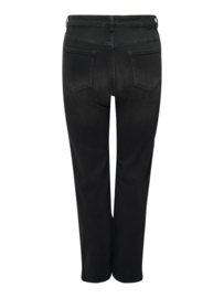 Willy wide leg jeans in washed black