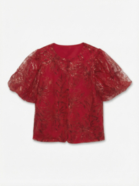 Pailletten blouse Breezy
