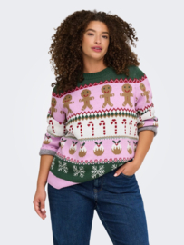 Trui XMAS Ho