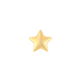 Pin Star