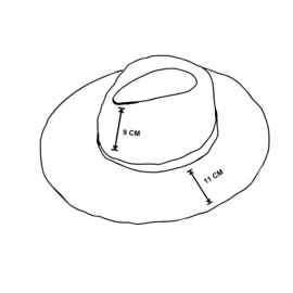 Fedora Vanity