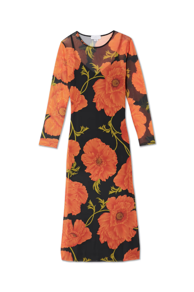 Black Poppy Aria Mesh dress NFD