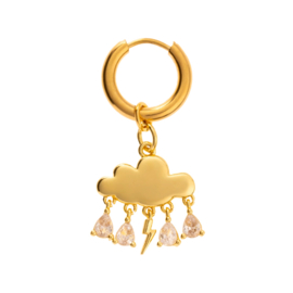 Stormy Wheater Earring