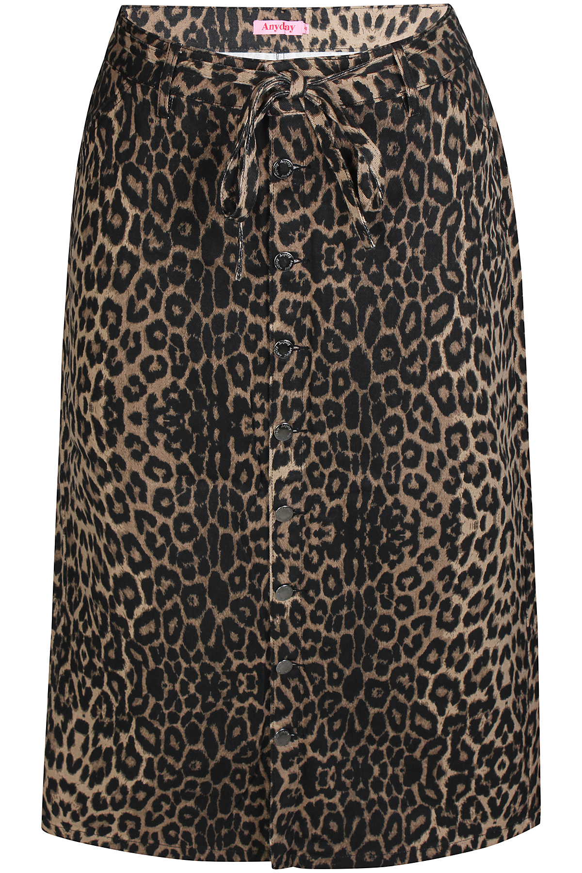 ANY Leo rok