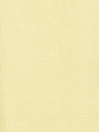 Hemdje Debbie in geel