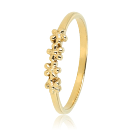 Gouden ring met kleine bloemetjes