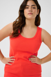 Hemdje Carina in oranje