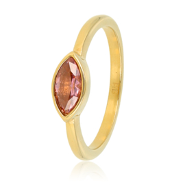 Gouden ring met Rhodolite edelsteen