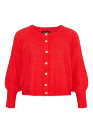 Gebreid vestje Spring