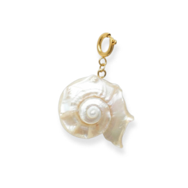 Charm Bold Shell