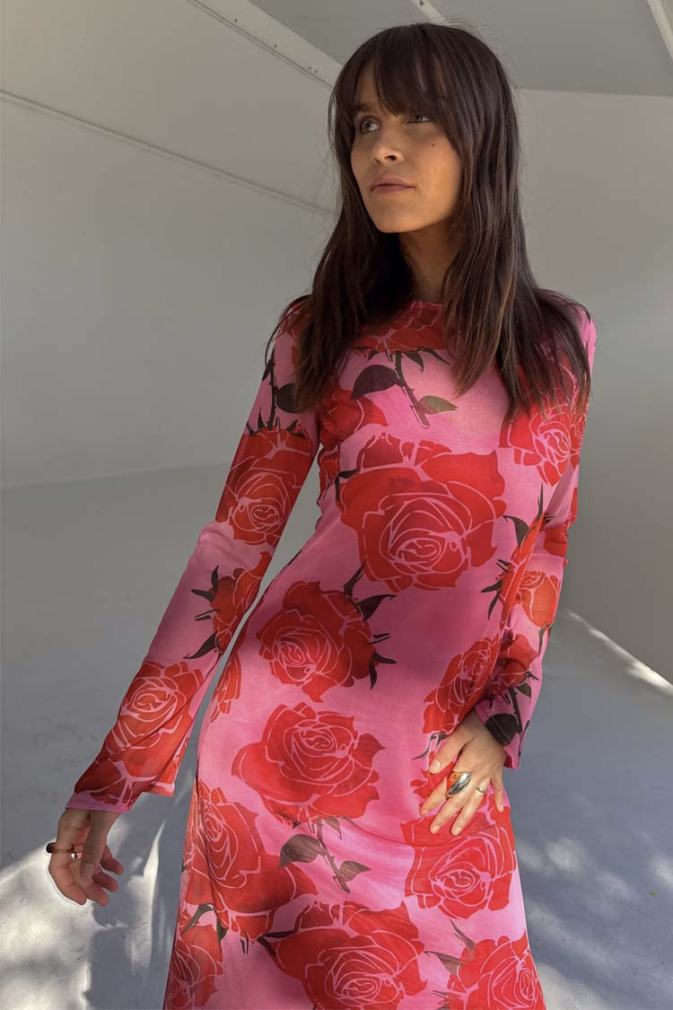 Pink Rosa Aria Mesh dress NFD