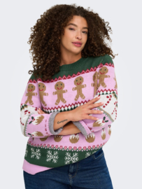 Trui XMAS Ho