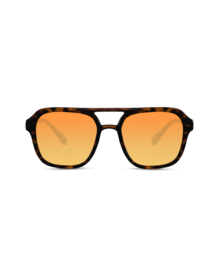 Sunny Pilot Tortoise