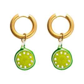 Lushlime Earring set