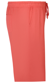 Broek Hyla