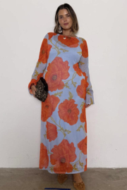 Blue Poppy Aria Mesh dress NFD