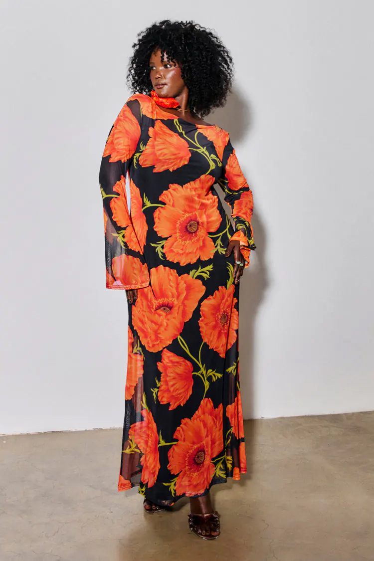 Black Poppy Aria Mesh dress NFD
