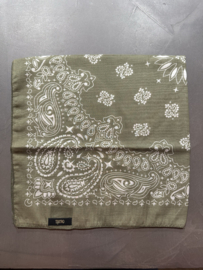 Sjaaltje Astrid in Paisley