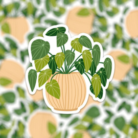 Vinyl sticker "plant 3"
