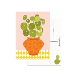 Kaart "Pannenkoek plant"
