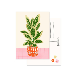 Kaart "plant ficus elastica"