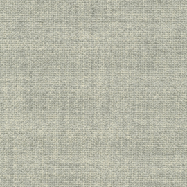 Taro