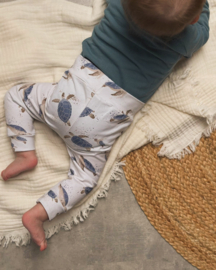 Broekje Turtles Blue