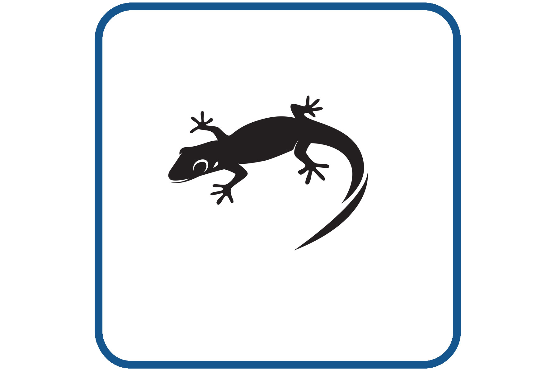 Gekko design 2 sticker