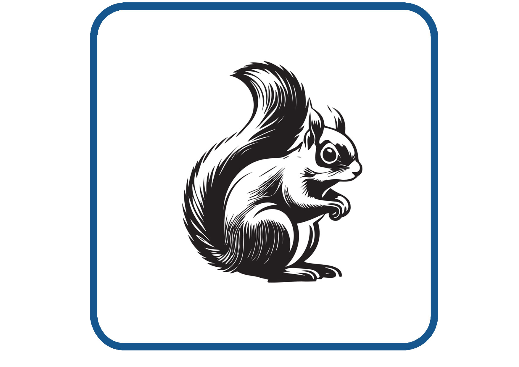 Eekhoorn sticker