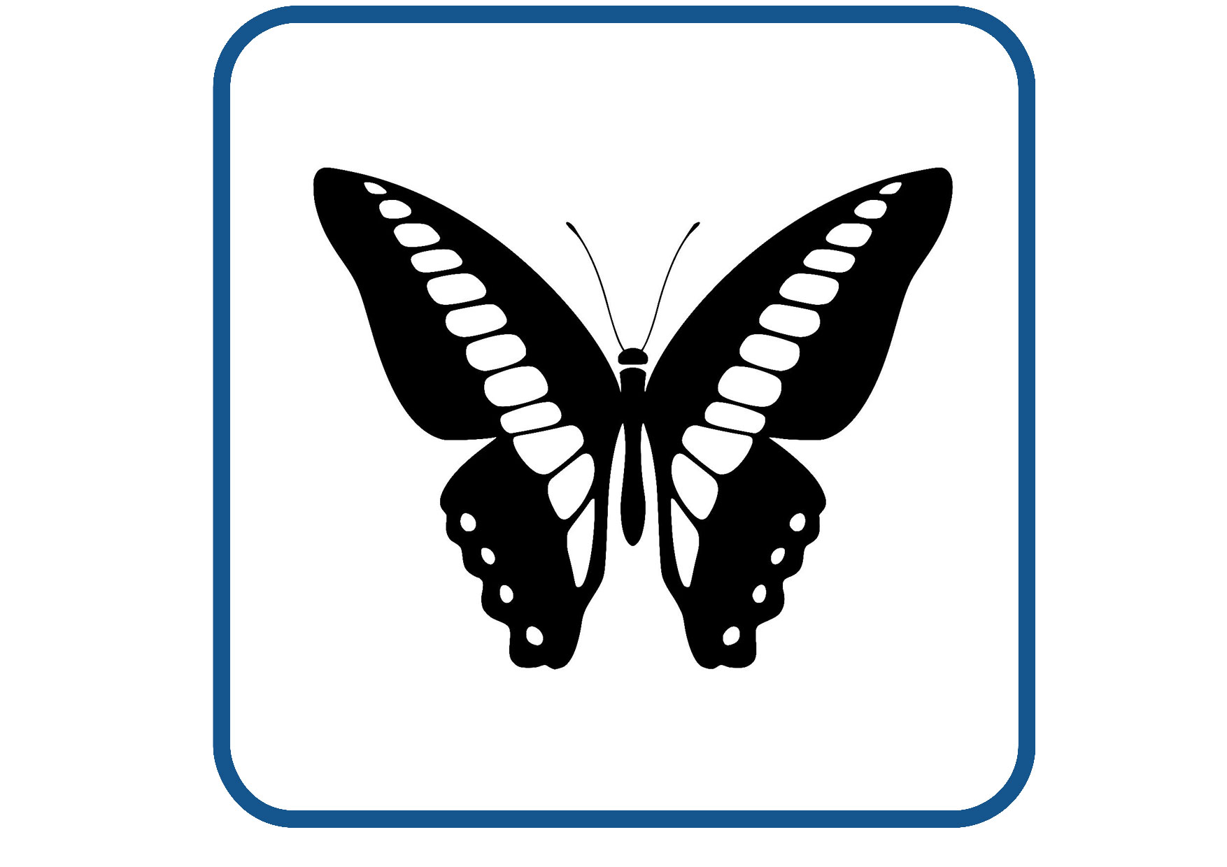 Vlinder design 4 sticker