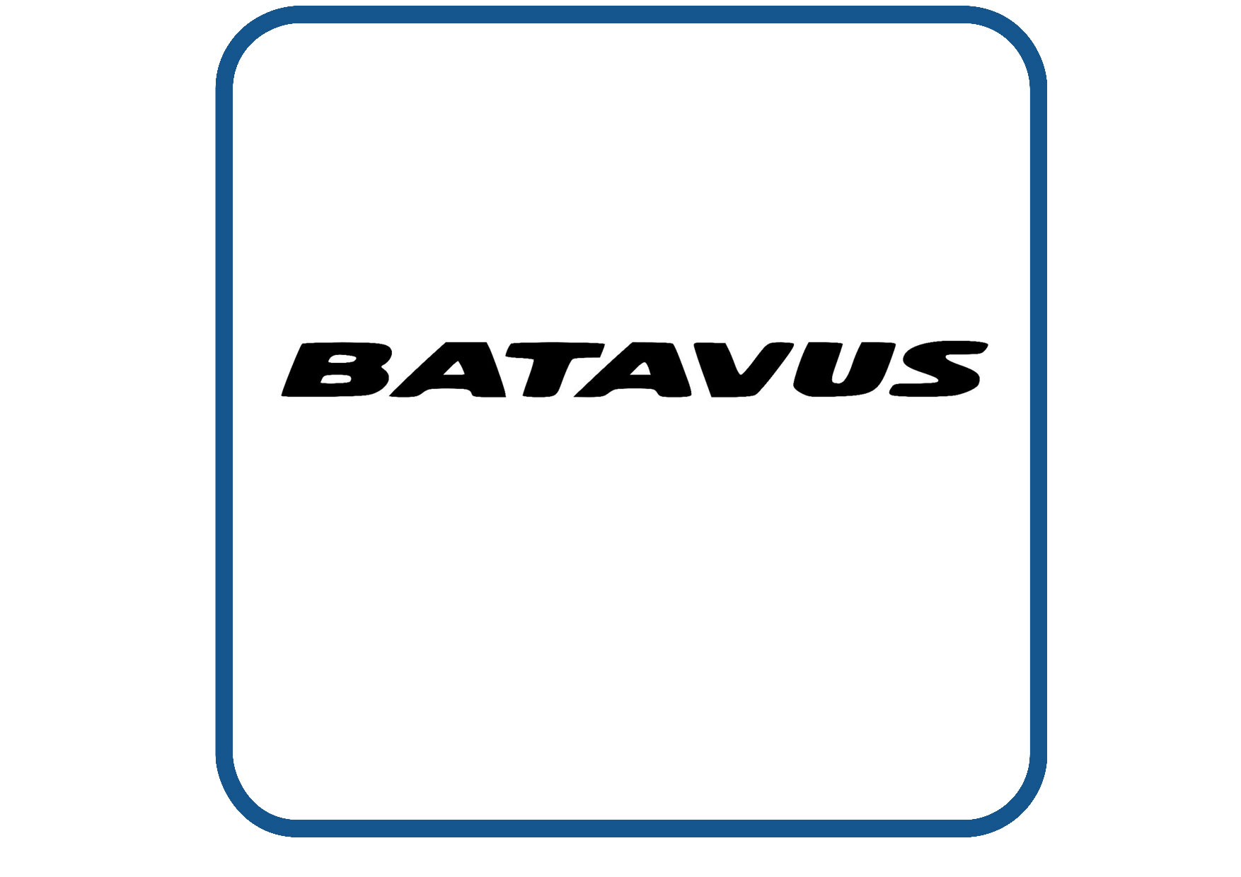 Batavus sticker