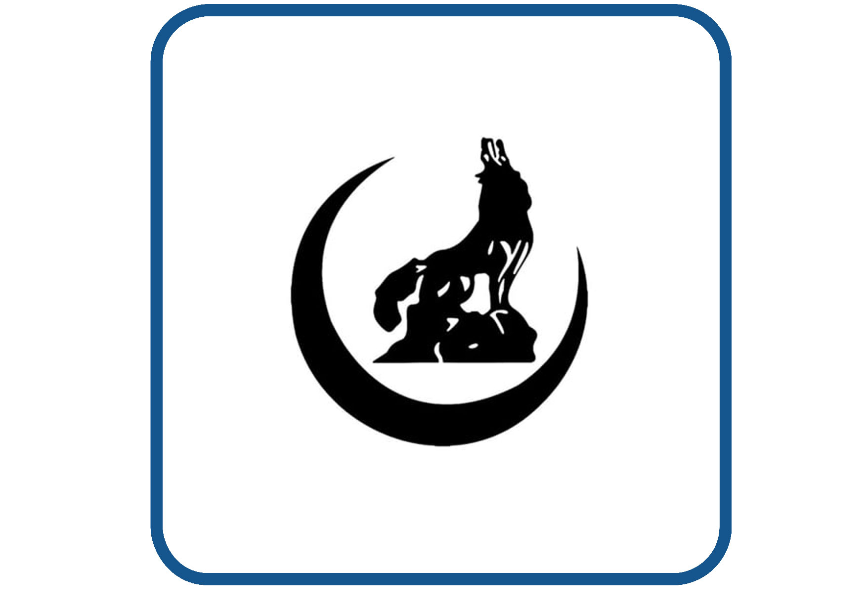 Bozkurt design 6 sticker