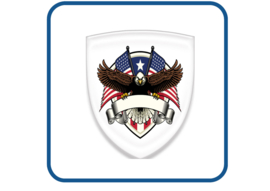American eagle 3D Doming gel sticker