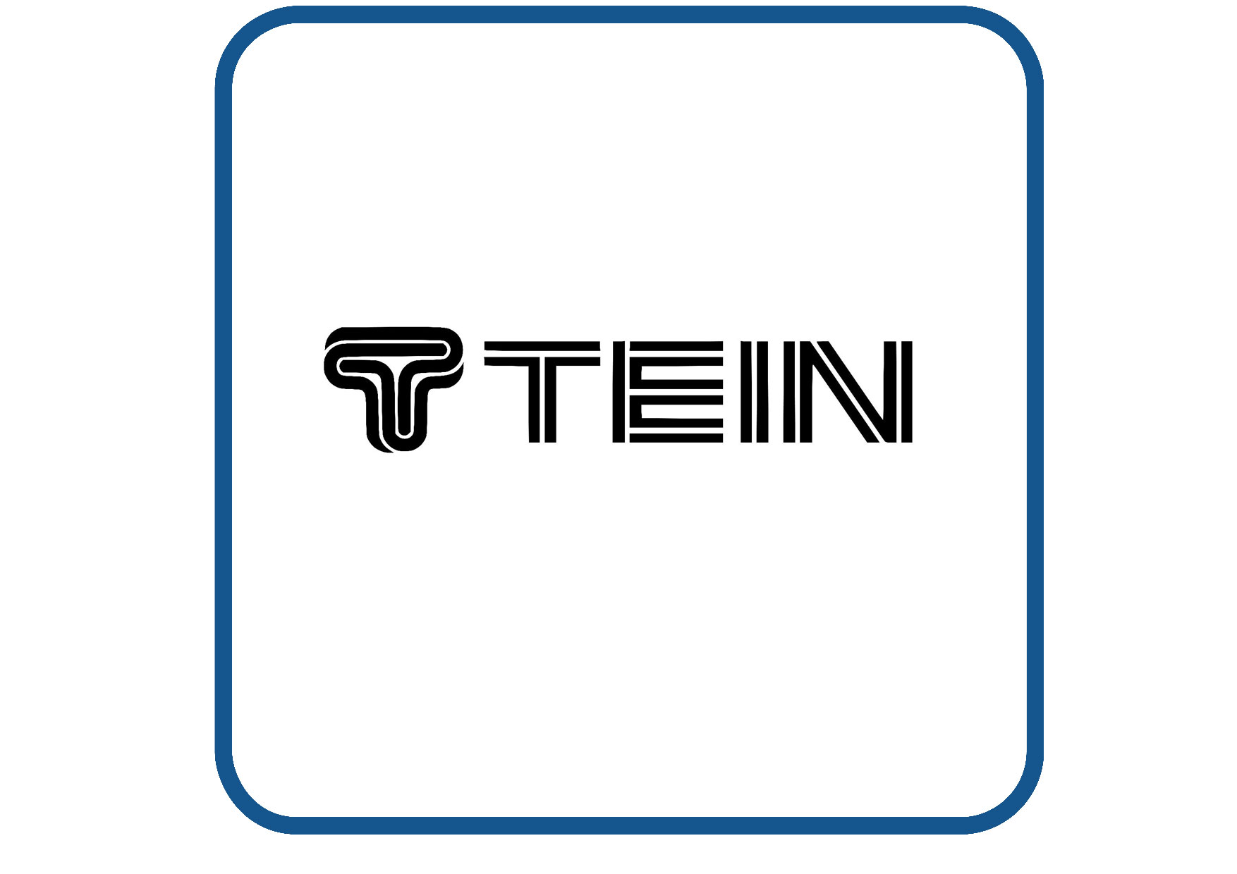 TEIN sticker