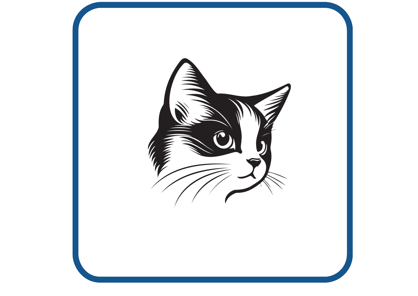 Kat sticker