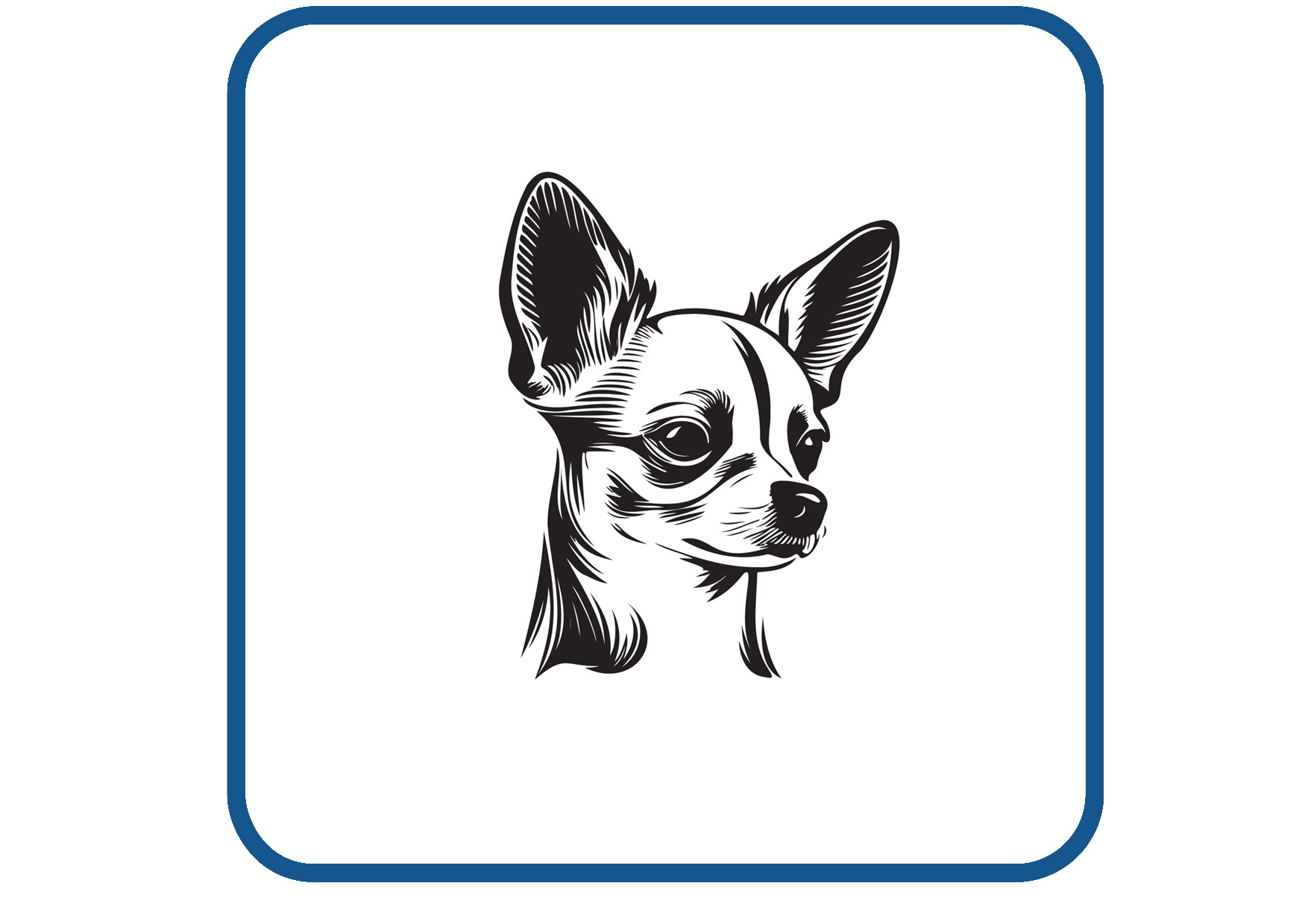 Chihuahau sticker