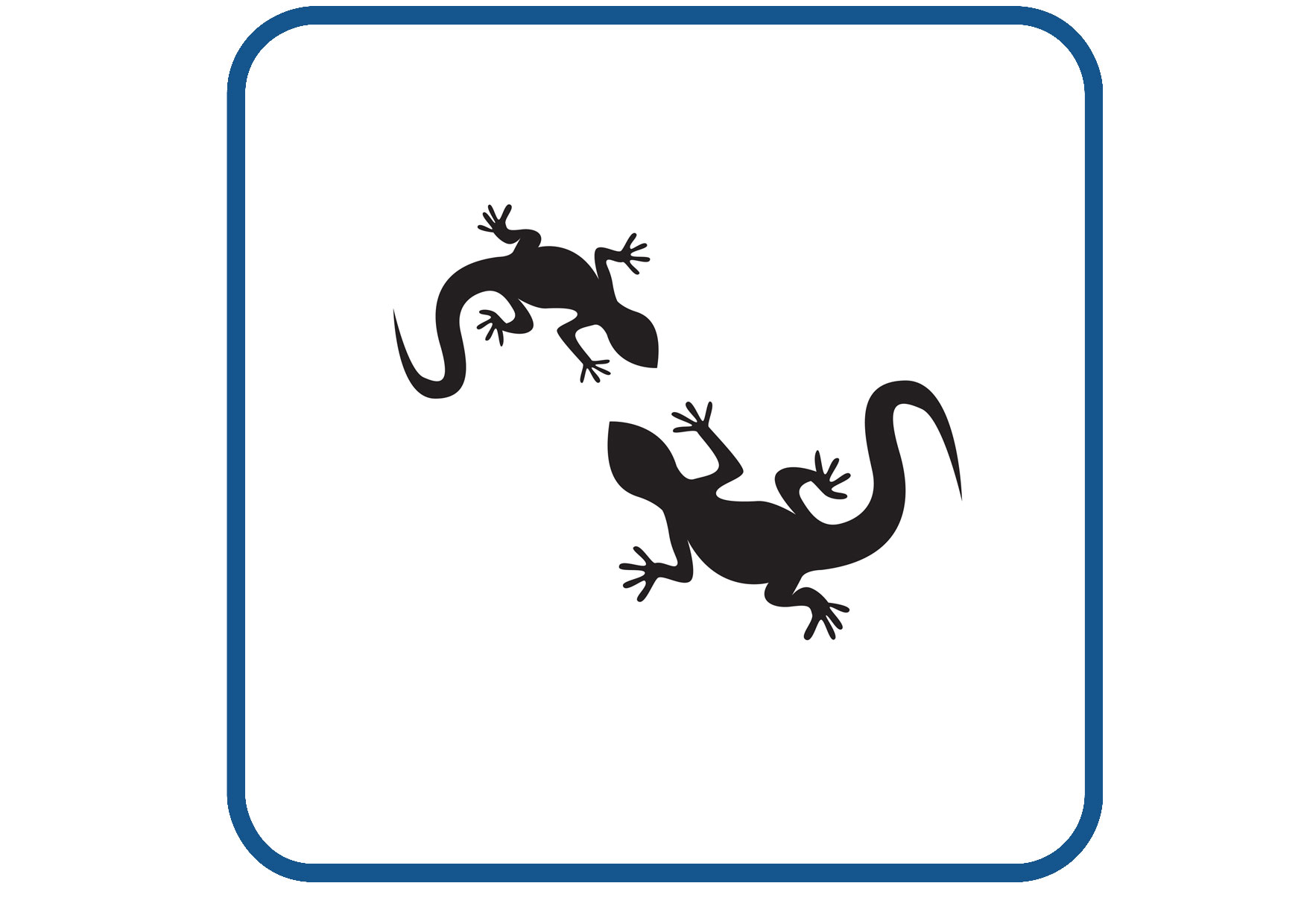 Gekko design 1 sticker